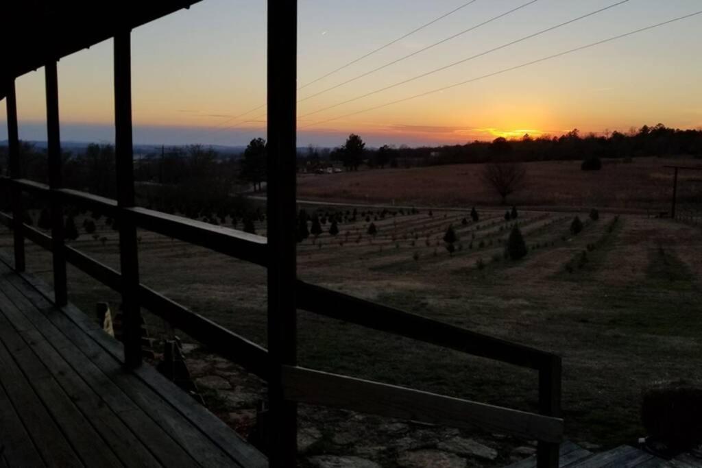 Rural Life On A Real Christmas Tree Farm! Hallmark Experience! Ozark Екстериор снимка