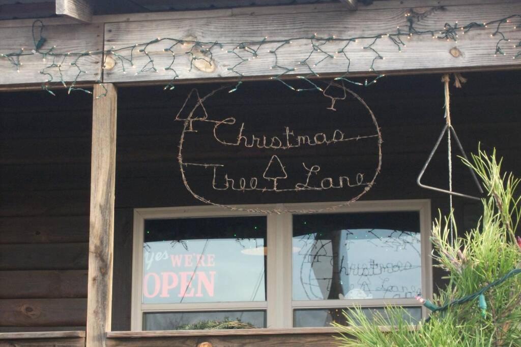 Rural Life On A Real Christmas Tree Farm! Hallmark Experience! Ozark Екстериор снимка