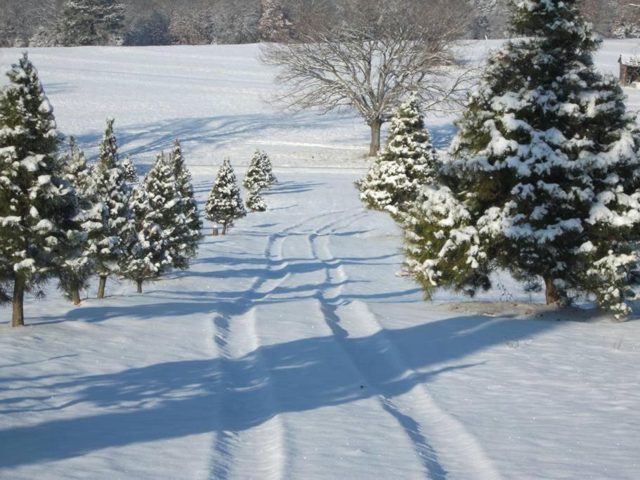 Rural Life On A Real Christmas Tree Farm! Hallmark Experience! Ozark Екстериор снимка