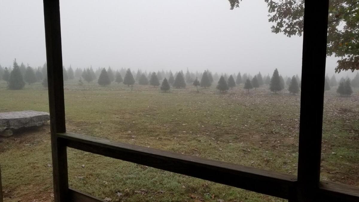 Rural Life On A Real Christmas Tree Farm! Hallmark Experience! Ozark Екстериор снимка