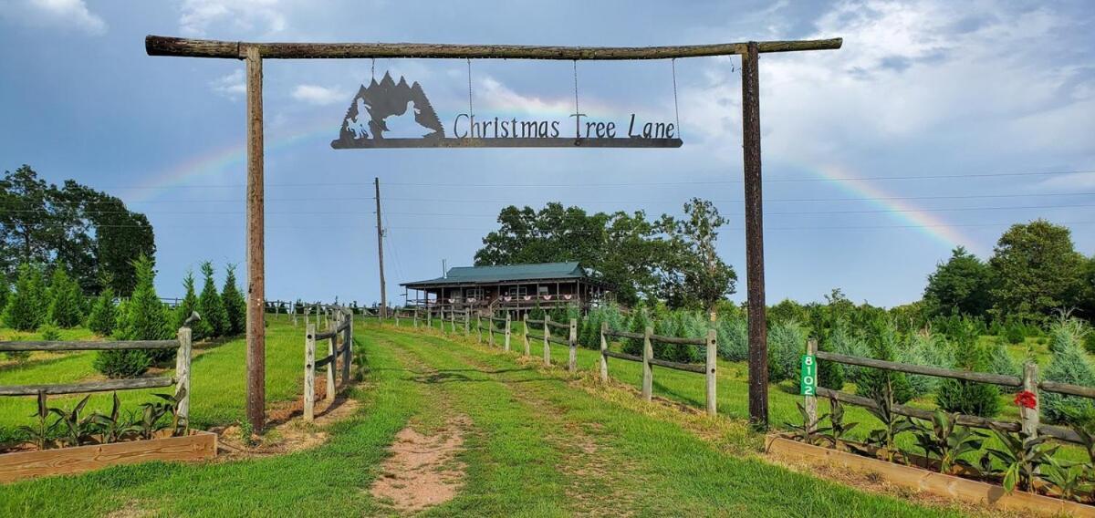 Rural Life On A Real Christmas Tree Farm! Hallmark Experience! Ozark Екстериор снимка